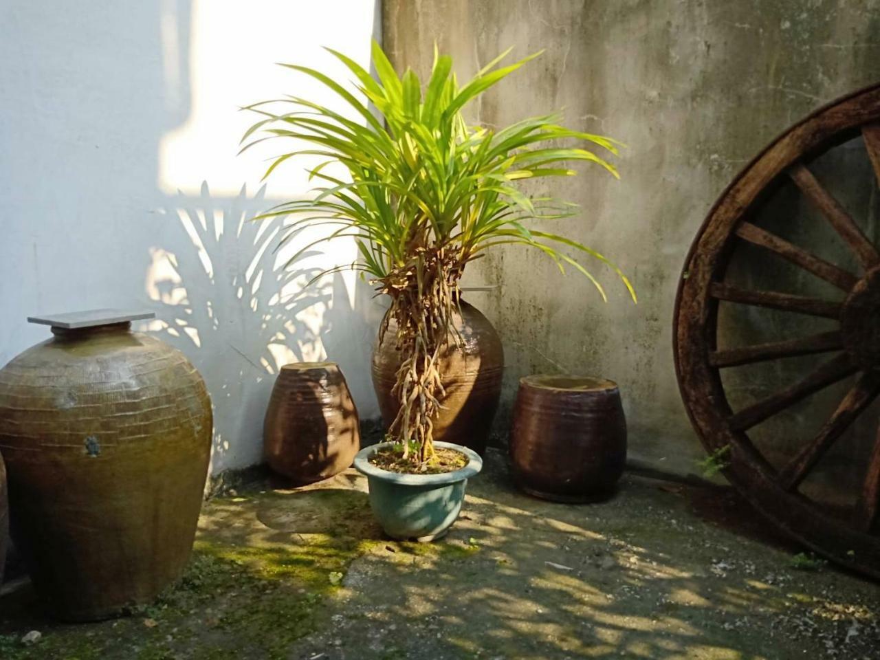 Formosa Backpackers Hostel & Apartment（青年民宿） Hualien Eksteriør bilde